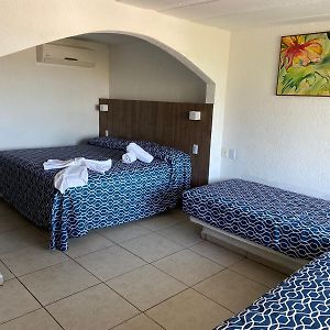 Suite Junior